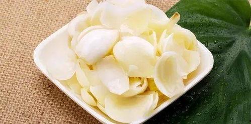 吃瓜网今日看料网红