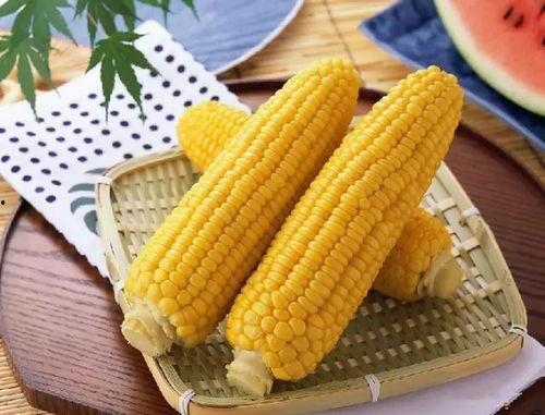 娱乐吃瓜酱玉米粒,揭秘吃瓜酱背后的明星故事